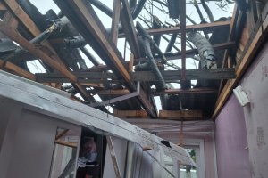 Guapuruvus da Rua Guapor&eacute; ser&atilde;o retirados ou podados por risco &agrave; seguran&ccedil;a