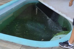 Vigil&acirc;ncia em Sa&uacute;de realizou pr&oacute;ximo de cinco mil visitas de combate &agrave; dengue somente em junho