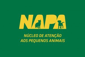 Napa promove feirinha de ado&ccedil;&atilde;o de c&atilde;es