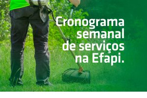 Superintend&ecirc;ncia da Efapi divulga cronograma de atividades