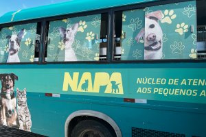 NAPA faz atendimento na Pra&ccedil;a da Fam&iacute;lia