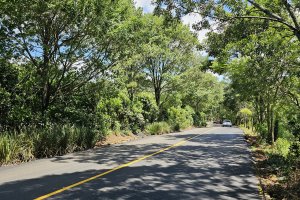 Inaugurado acesso asf&aacute;ltico da Col&ocirc;nia Bacia