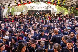 Alunos da F&aacute;brica de Gaiteiros participam do Festival Internacional da Gaita