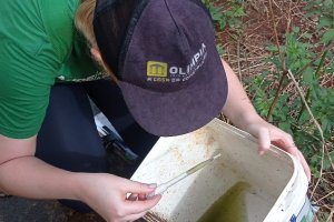 S&aacute;bado tem mutir&atilde;o de combate &agrave; Dengue no Belvedere e Vila Rica