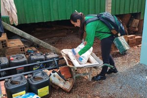 Agentes de Sa&uacute;de atenderam sete mil pessoas em mutir&atilde;o contra Dengue