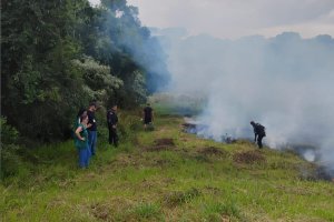 A&ccedil;&atilde;o de Fiscaliza&ccedil;&atilde;o Combate Queimada Ilegal em Chapec&oacute;