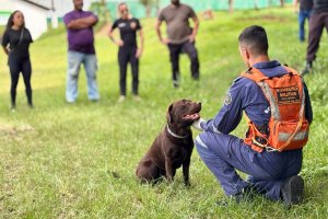 Prefeitura e Unochapec&oacute; promovem curso in&eacute;dito no pa&iacute;s em Cinotecnia Policial