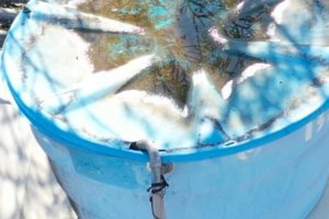 Secretaria de Sa&uacute;de de Chapec&oacute; usa drone no combate &agrave; Dengue