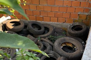 Drone identifica 48 situa&ccedil;&otilde;es irregulares em mutir&atilde;o contra a Dengue