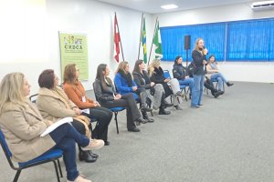 Conselho que protege crian&ccedil;as de abusos encerra Maio Laranja 