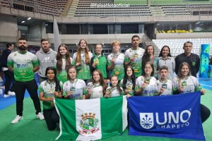 Equipe de Taekwondo de Chapec&oacute; se destaca na Copa Regional Sul