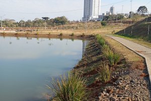 Prefeitura realiza plantio de 120 mudas de &aacute;rvores nativa no Parque Edir de Marco