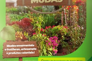 Prefeitura de Chapecó promove feira de mudas ornamentais e frutíferas