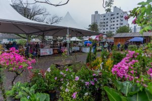 Feira de Mudas acontece até domingo em Chapecó 