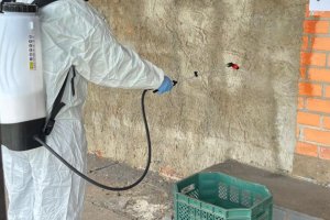 Efapi do Brasil protegida contra a Dengue