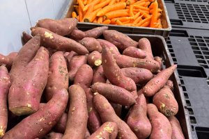 Banco de Alimentos fortalece agricultura e garante qualidade para serviços e entidades beneficiadas