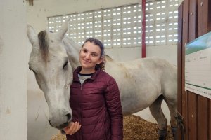 Pela primeira vez, o hipismo movimenta a Efapi do Brasil com cerca de 60 atletas