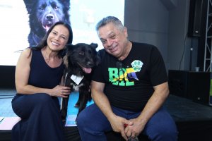 NAPA lan&ccedil;a oficialmente no Instagram o mascote Arroio na Efapi do Brasil