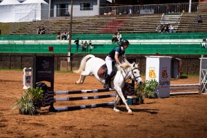 Efapi do Brasil: Orgulho e paixão pelo hipismo estiveram presente nas competições