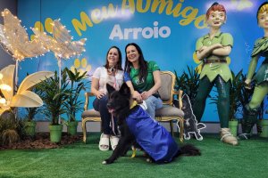 Efapi do Brasil &eacute; pet friendly e garante espa&ccedil;o acolhedor tamb&eacute;m para os animais de estima&ccedil;&atilde;o