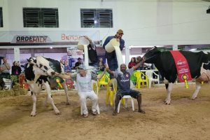 Efapi do Brasil celebra campe&otilde;es do torneio leiteiro com o tradicional banho de leite