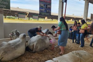 Efapi do Brasil: avaliação do Agronegócio confirma saldo positivo e alto nível técnico