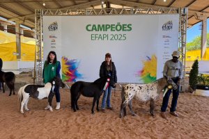 Mini-Horse estreia com julgamento in&eacute;dito na Efapi do Brasil 2025
