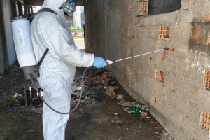 Secretaria de Saúde realiza borrifação em prevenção contra a Dengue