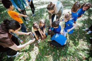 Prefeitura de Chapecó realiza plantio de mudas de árvores nos parques municipais