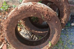 Mais de sete mil visitas realizadas no Dia D de combate à dengue em Chapecó