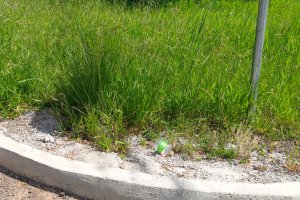 ​Prefeitura de Chapec&oacute; alerta para limpeza de terrenos baldios e manuten&ccedil;&atilde;o das cal&ccedil;adas