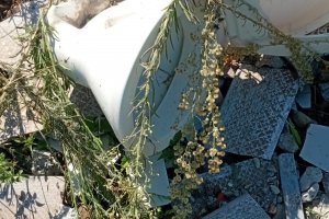 Prefeitura de Chapec&oacute; realizou mutir&atilde;o contra a Dengue no bairro Pinheirinho