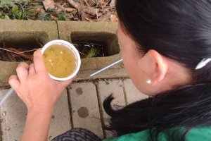 Chapec&oacute; realiza levantamento para mapear risco de Dengue, Chikungunya e Zika