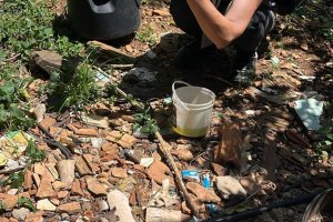 For&ccedil;a-Tarefa e Tecnologia em Chapec&oacute;: Mutir&atilde;o Mobiliza Agentes e Acad&ecirc;micos no Combate &agrave; Dengue