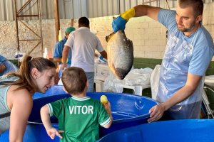 Feira do peixe segue at&eacute; sexta em 12 pontos