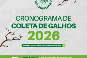 Prefeitura de Chapec&oacute; orienta sobre in&iacute;cio do cronograma de coleta de galhos
