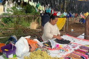 Semana Cultural Ind&iacute;gena tem ampla programa&ccedil;&atilde;o em Chapec&oacute;