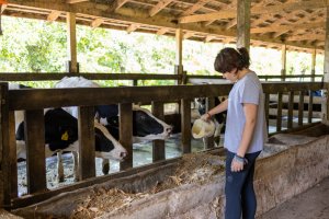 Chapec&oacute; &eacute; selecionada em edital do MEC sobre pr&aacute;ticas de Educa&ccedil;&atilde;o Integral em Tempo Integral