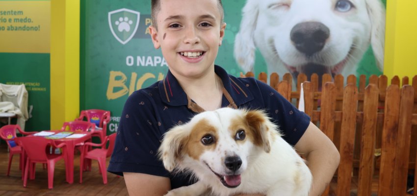 NAPA teve 20 animais adotados durante a Efapi 2023