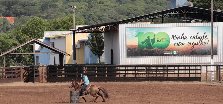 Iniciam nesta quinta-feira provas três tambores com cavalo Quarto de Milha