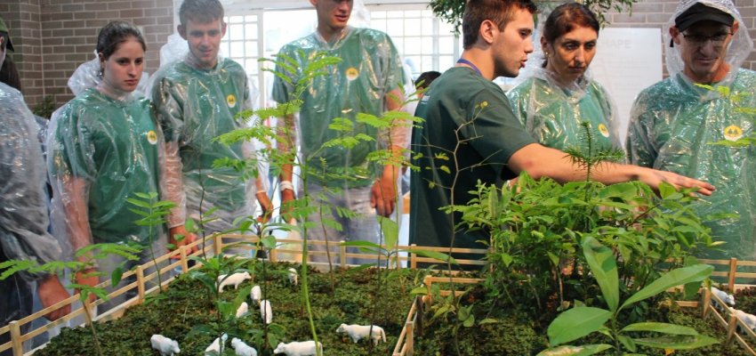 Mudas para um futuro mais ecológico