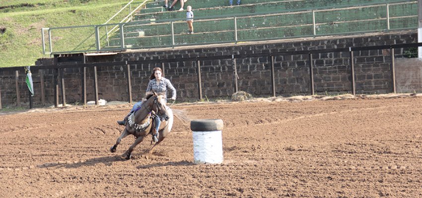 Cavalo Quarto de Milha Primeira classificatória da prova três tambores