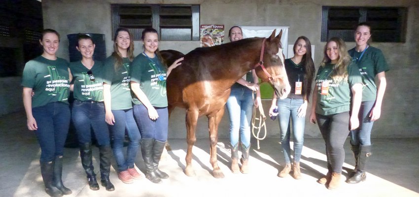 Alunos voluntários trabalham na EFAPI 2017