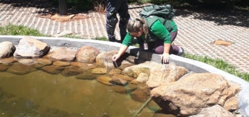 Levantamento mostra avan&ccedil;o da Dengue