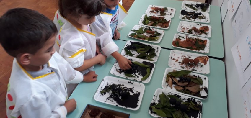 Pequenos investigadores: que bicho é esse?