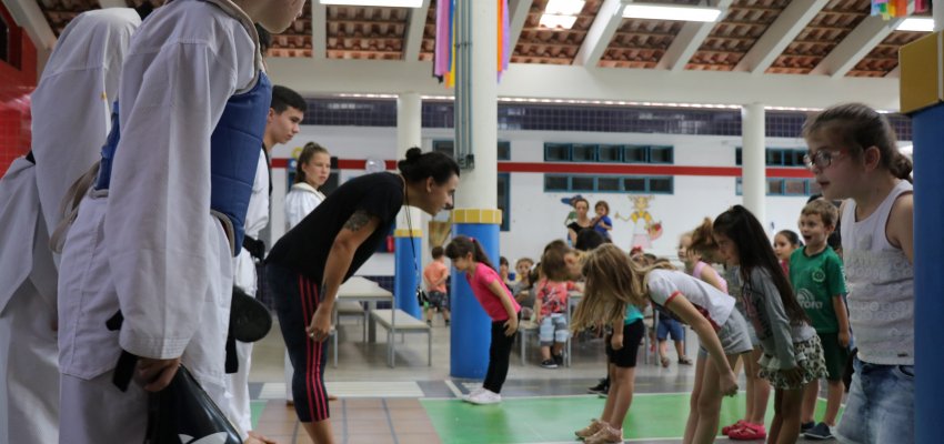 Taekwondo: As lutas no contexto escolar 