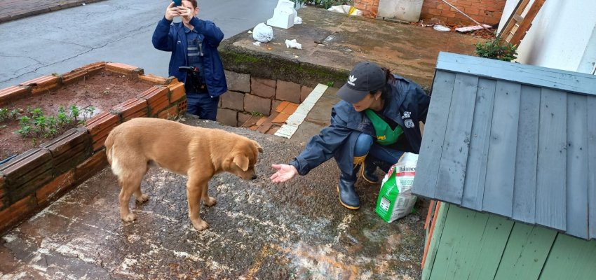 NAPA realiza opera&ccedil;&atilde;o contra o frio