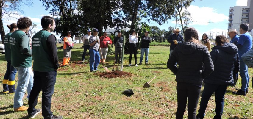 Realizado plantio de &aacute;rvores em parque de Chapec&oacute;