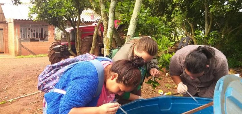 Vigil&acirc;ncia Ambiental eliminou focos da dengue no interior