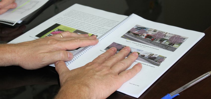 Plano de Arborização Urbana de Chapecó é instituído